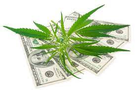 images?q=tbn:ANd9GcR1kdfMzee BmkttyA6bQiLt7GVFtEvL7qZou96dnkJkaoCcLs5AaNA VuqMr7iGh55lA4&usqp=CAU