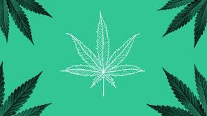 images?q=tbn:ANd9GcQsxUccVa8o7A38fYiit0XD1pS MzWo h5q0g&usqp=CAU