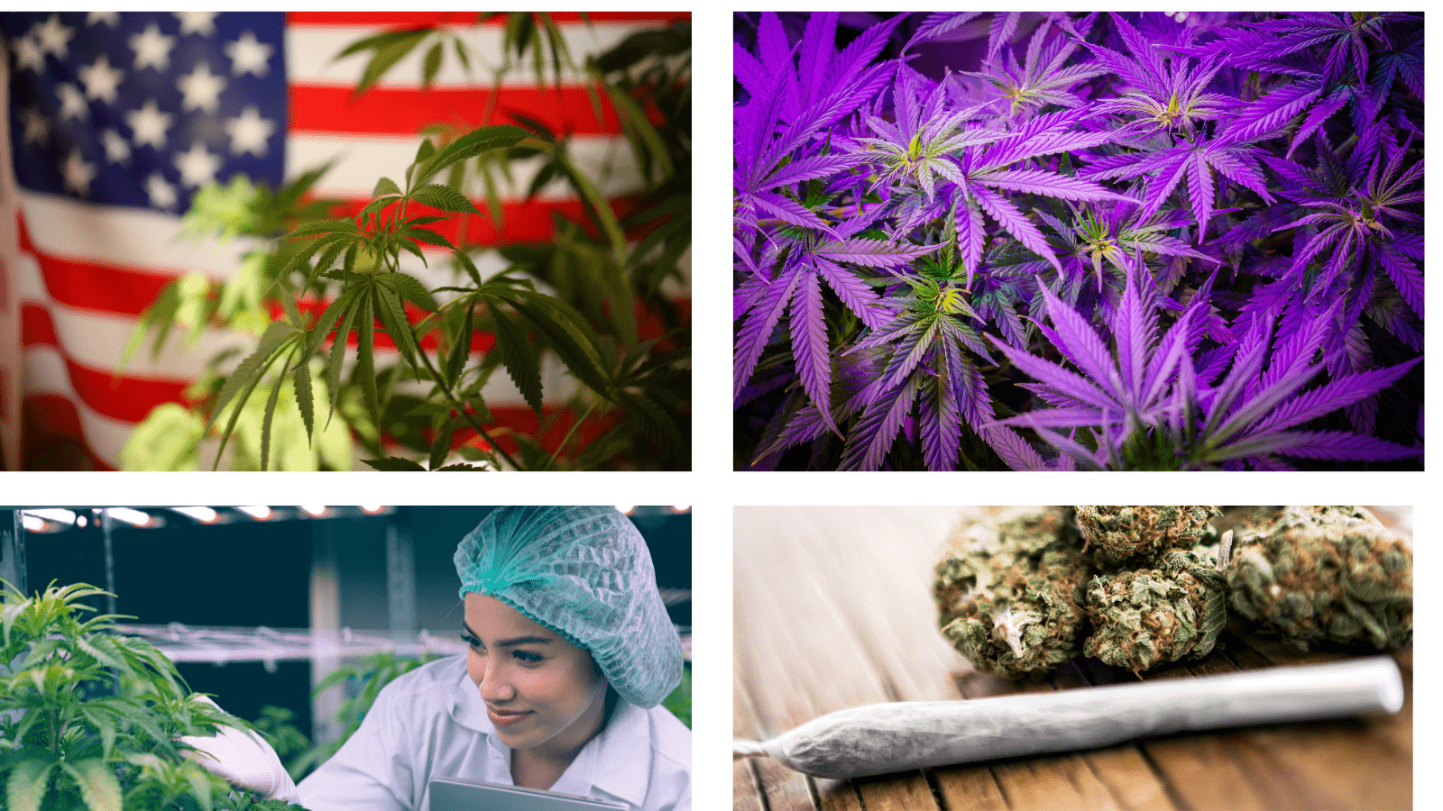 Teens, Cannabis and Mental Health: A CDC Recent Study