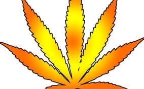 2020 05 22 5ec7e8d8aba68 cannabisart