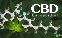 Can CBD Edibles Help Alleviate Chronic Pain?