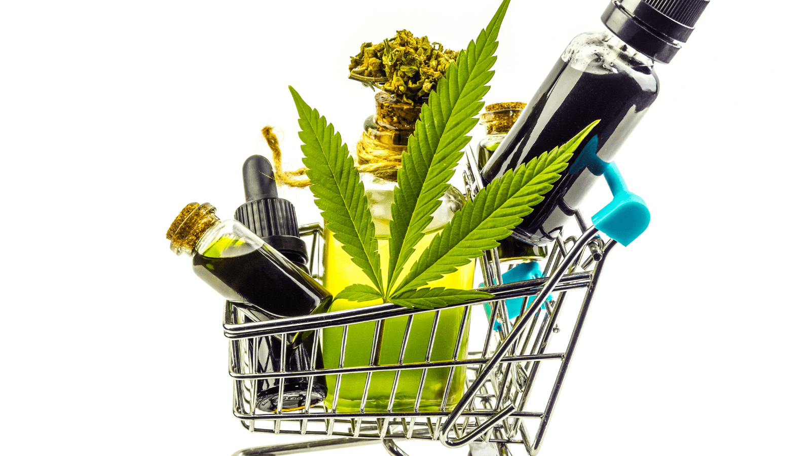 Cannabis Edibles 101: Exploring Their Impact on the Body