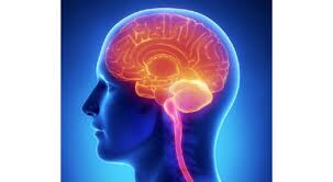 weednbrain