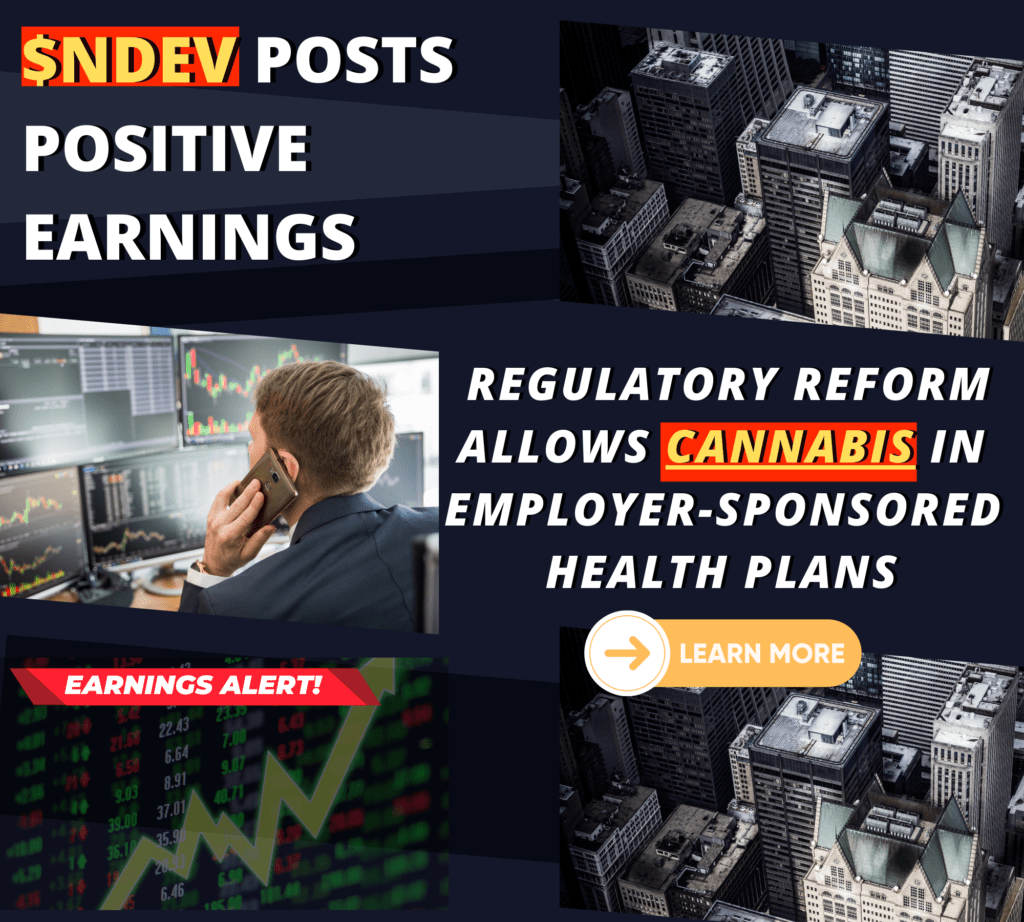 NDEV 2000 × 1800 px 5