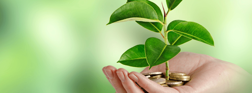 cannabis in health plans