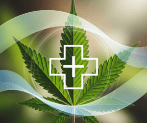 Medical Cannabis for Chronic Pain: Evidence-Based Relief Strategies and Strain Selection Guide