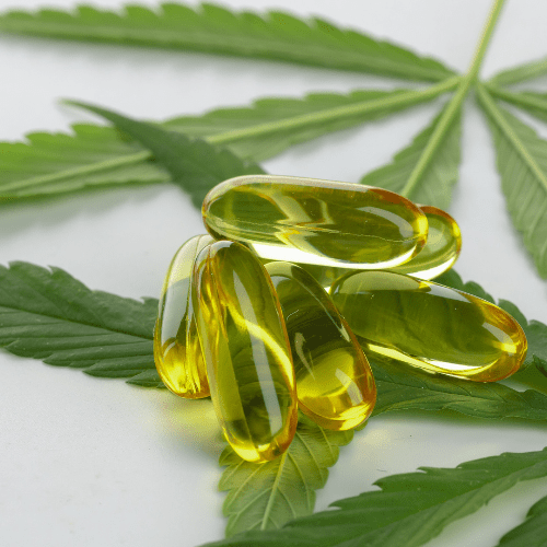 Integrative Approaches: Combining Cannabis with Other Holistic Therapies