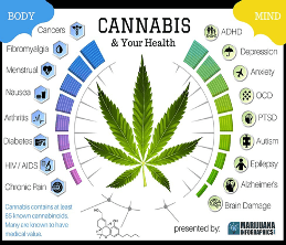 How to Get a Medical Marijuana Card in Illinois?