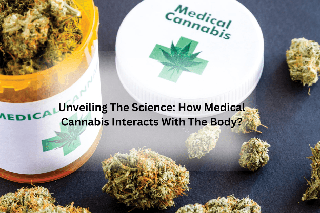 8 Best Uses of CBD Oil to Deal With Pain & Inflammation