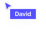 david Mouse