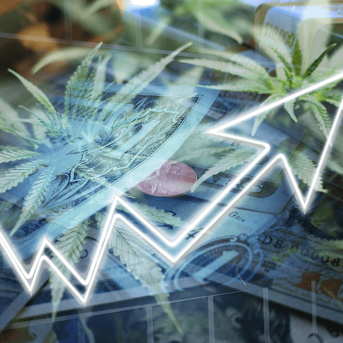 cannabis stocks performance