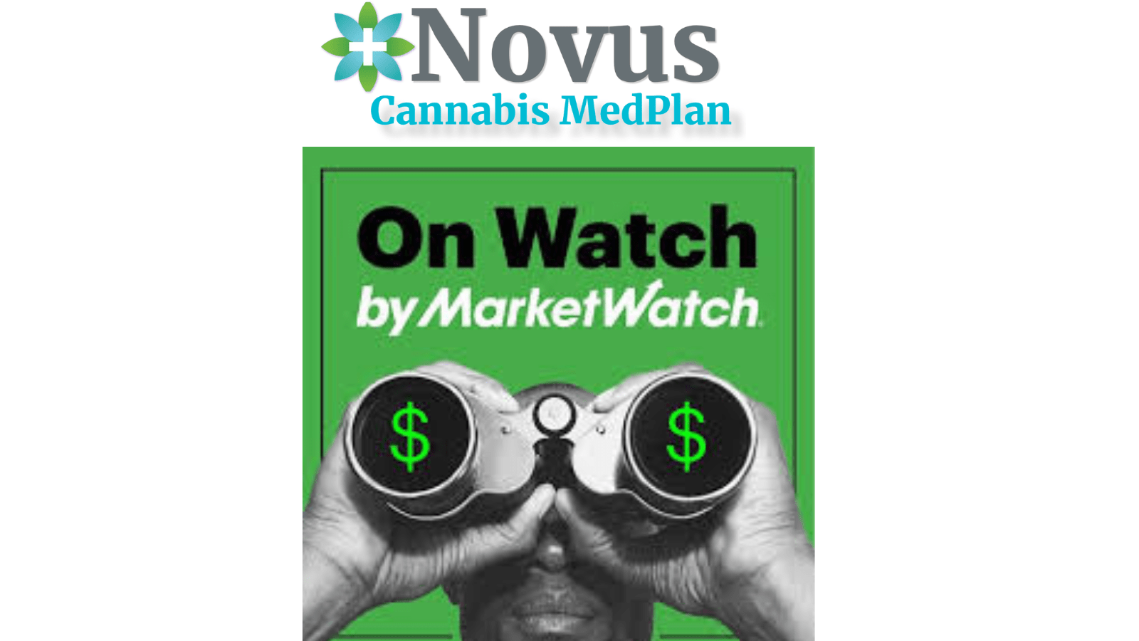 Understanding Sativa, Indica, and Hybrid Cannabis