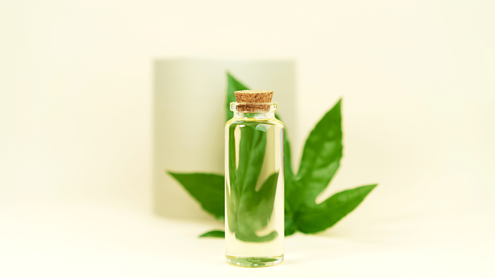 Cannabis and Breathwork for Athletes: Amplifying Oxygenation and Focus