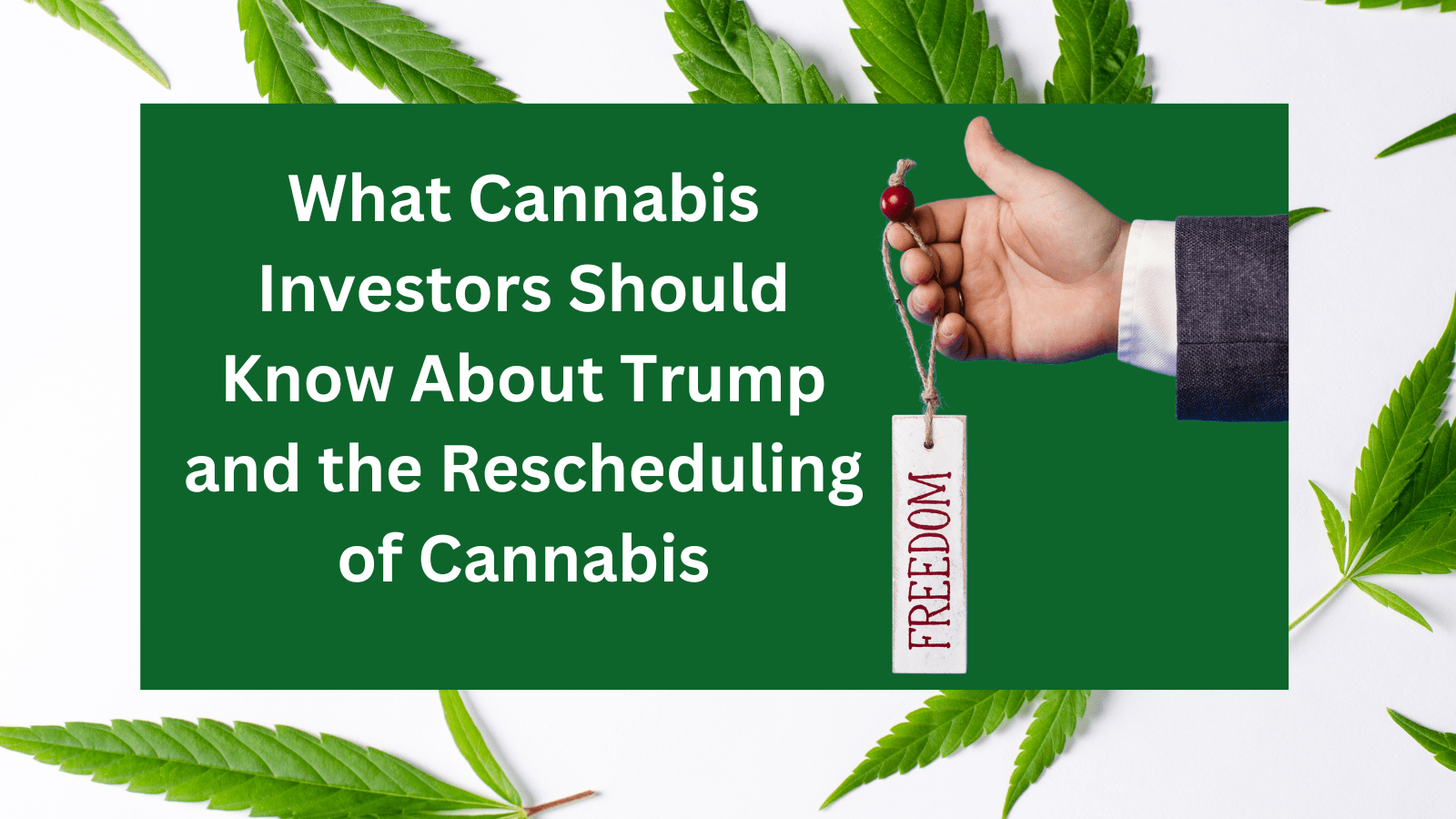 Research Regarding CBD’s Potential and the Role in Supporting Wellness 