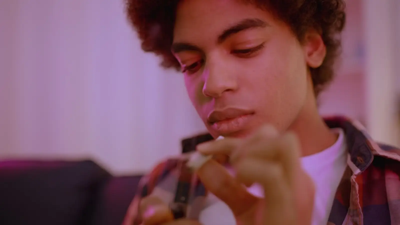 How to Choose the Best CBD Brand in 2024?