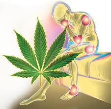 Medical Cannabis For Missourians Health Plans Is Here