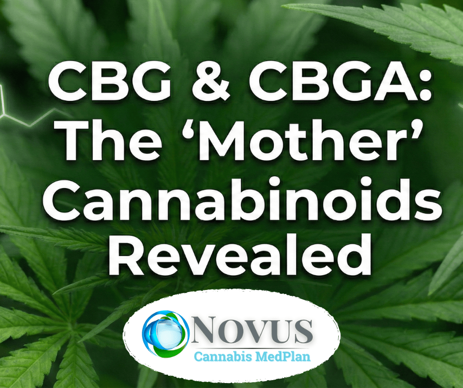 The Dark Side of Green: Understanding Cannabis Hyperemesis Syndrome and High-THC Risks