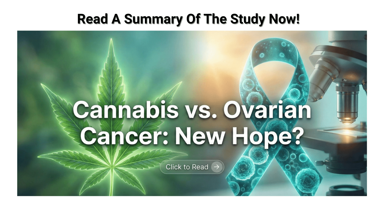 The Missing Link in Cancer Care: Turn Cannabis Research into Relief