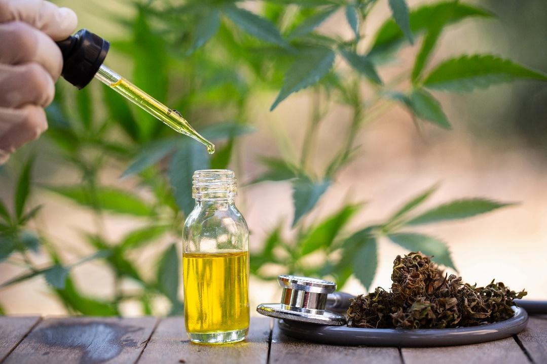 CBD and THC cananbis is it healthy?