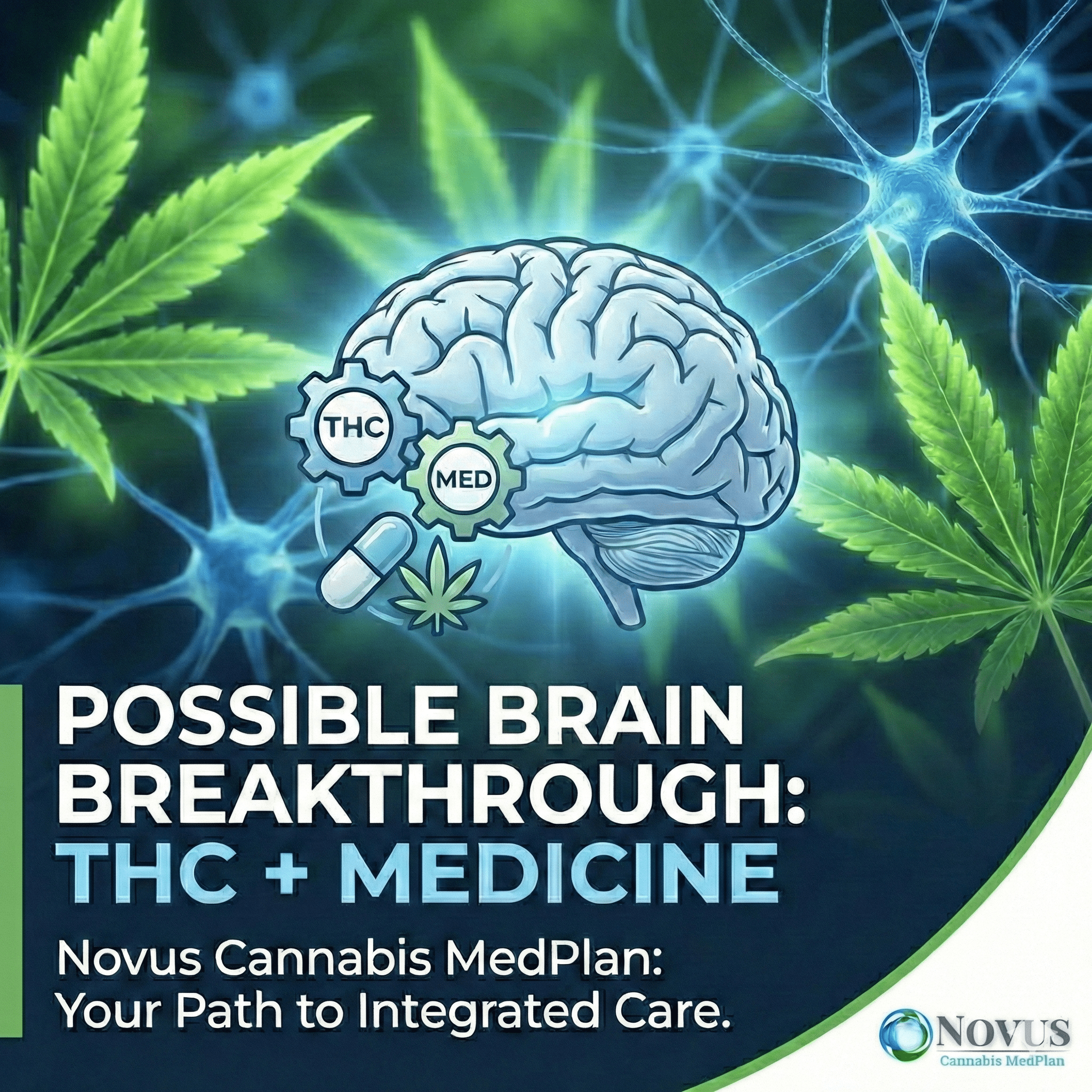 Investors’ Blind Spot in Cannabis: NDEV 2026 Outlook Strategy vs. Speculation