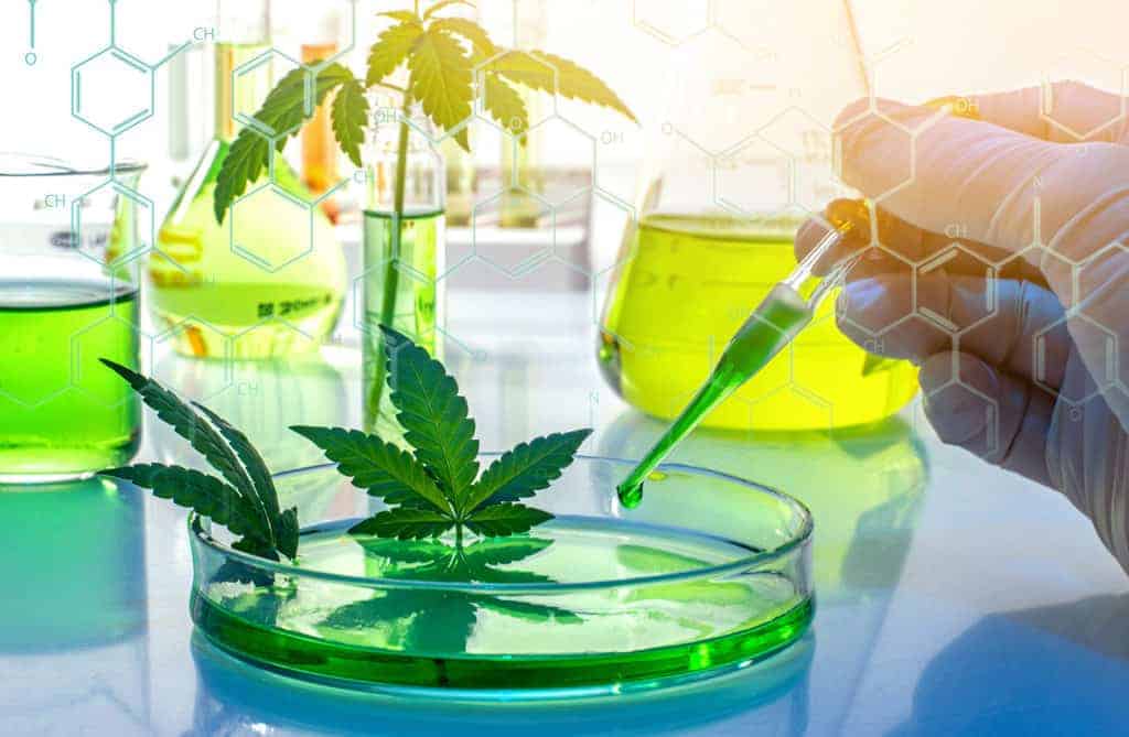 What is CBG?