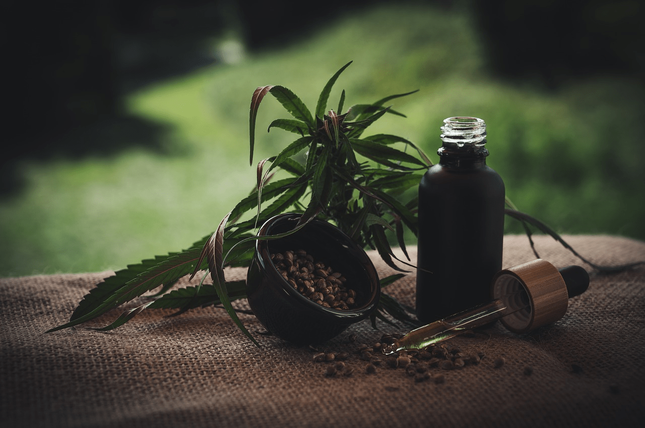 How to Start a Cannabis Greenhouse in Your Backyard