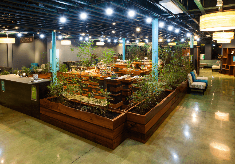 Frequently Asked Questions About Weed Delivery Services