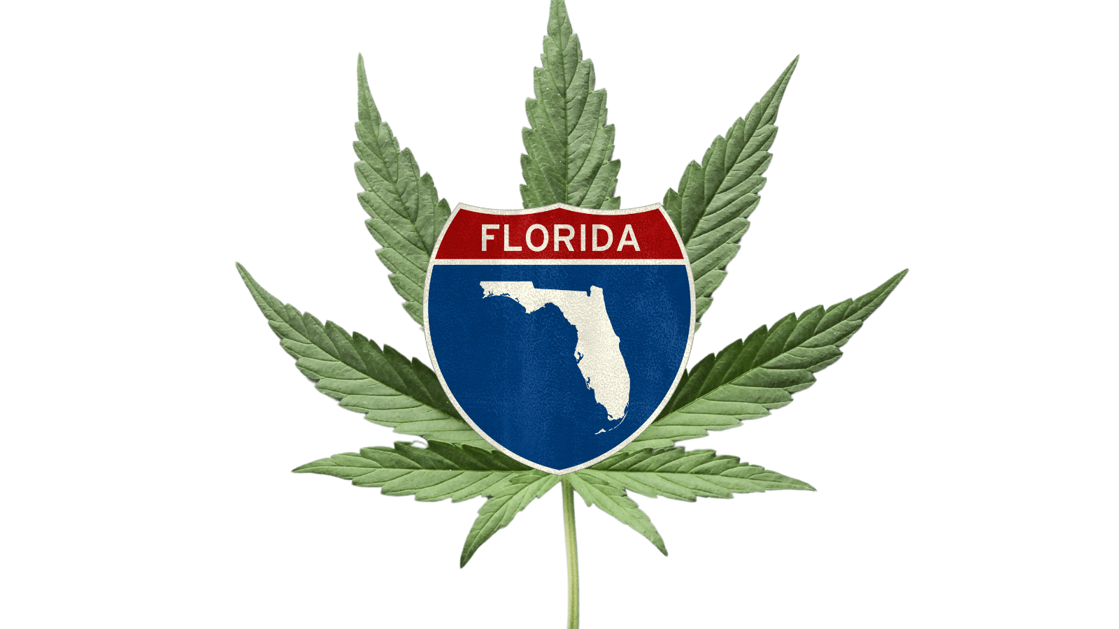 The Benefits of CBD Oil for Enhanced Wellness and Healing