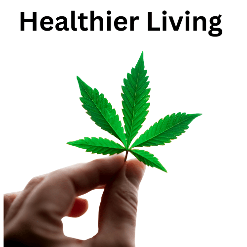 Rx Plans with Cannabis