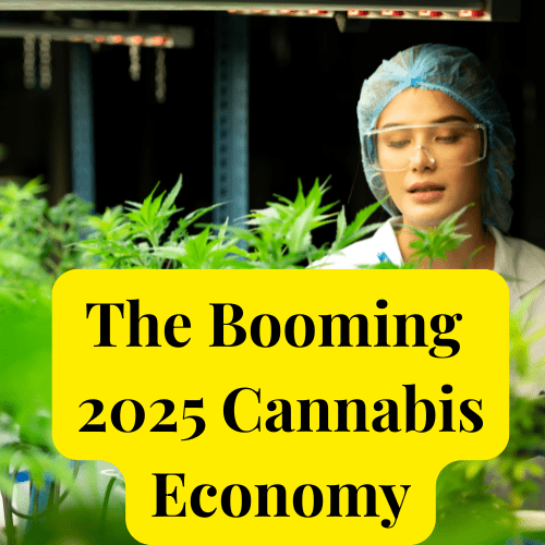 Cannabis Economy Cannabis investor