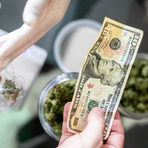 best cannabis loyaly program