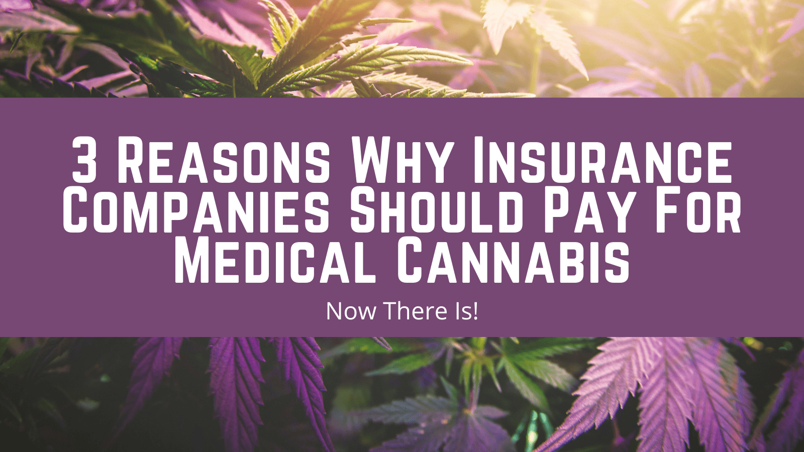 cannabis is a healthy lifestyle